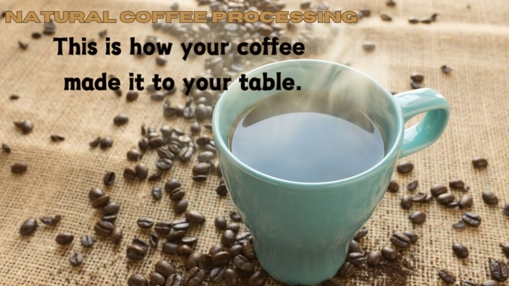 Natural-Coffee-Processing